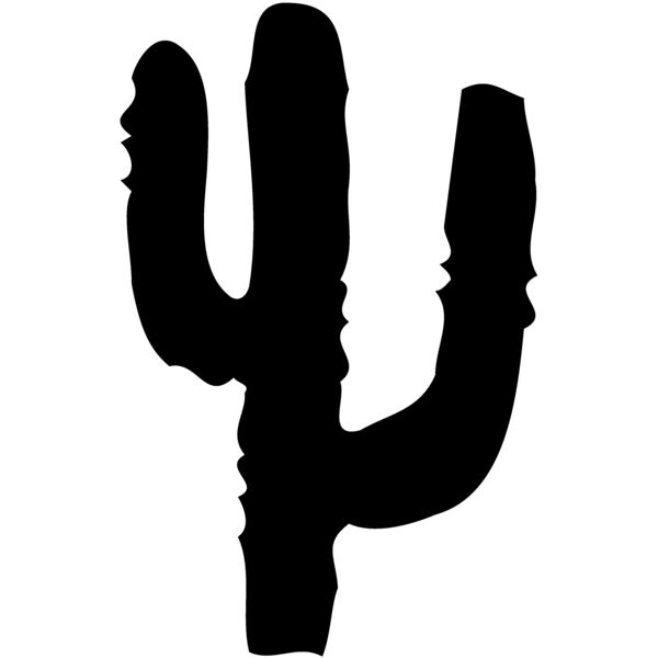 CACTUS16 Miniaturansicht