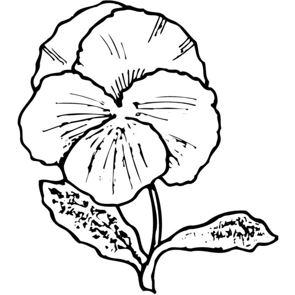 FLOWER07 Miniaturansicht