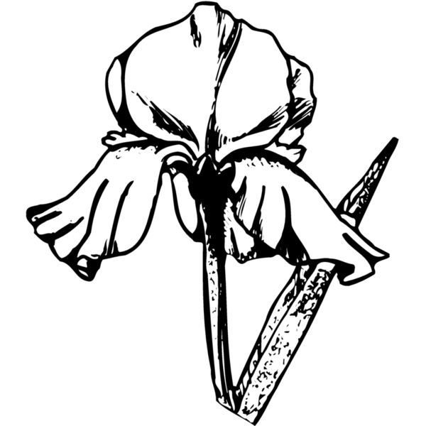 FLOWER11 Miniaturansicht