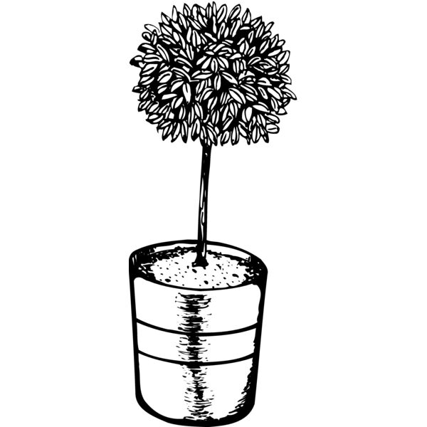 PLANT01 Miniaturansicht