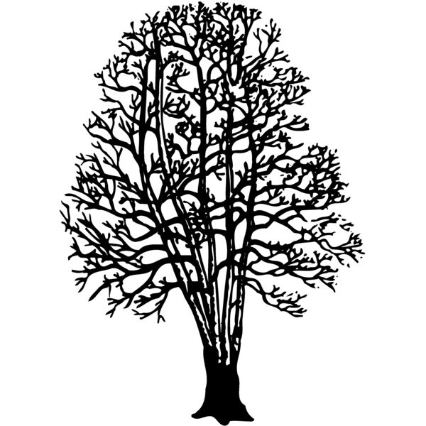 TREE0023 Miniaturansicht