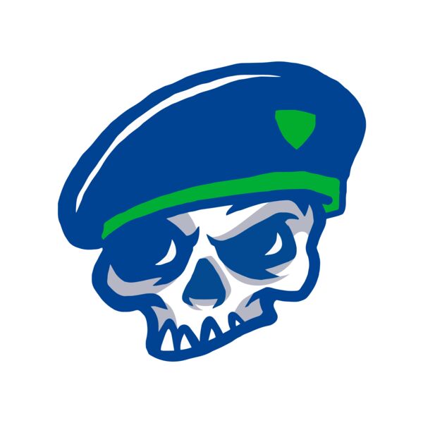 Elements Skulls logo template 100 Miniaturansicht