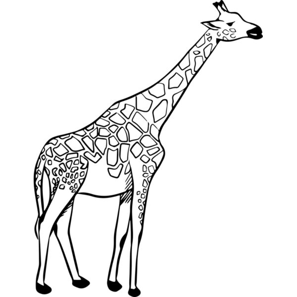 Giraffe   Clipart 2 Miniaturansicht