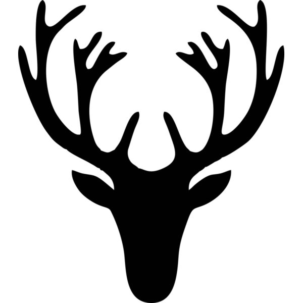 Hirsch Geweih Miniaturansicht