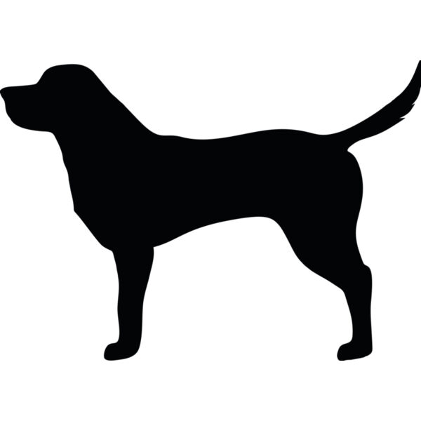 Hund Miniaturansicht