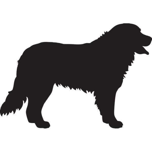 Hund Miniaturansicht