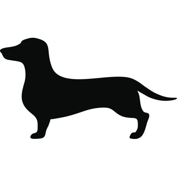 Hund Dackel Miniaturansicht