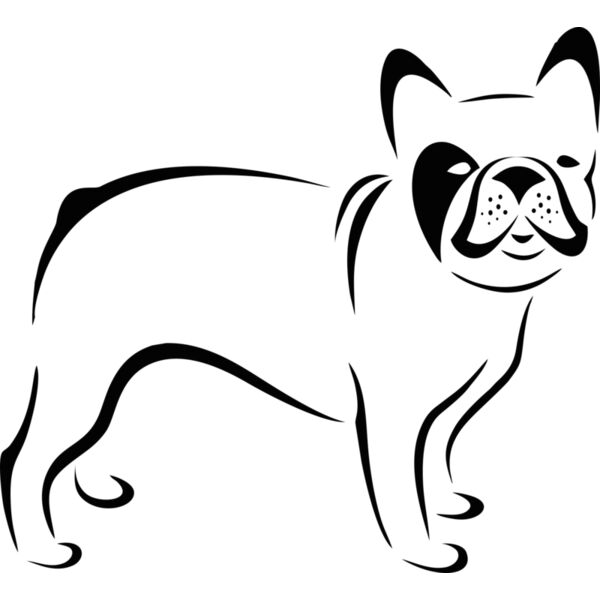 Hund französische Bulldogge Thumbnail