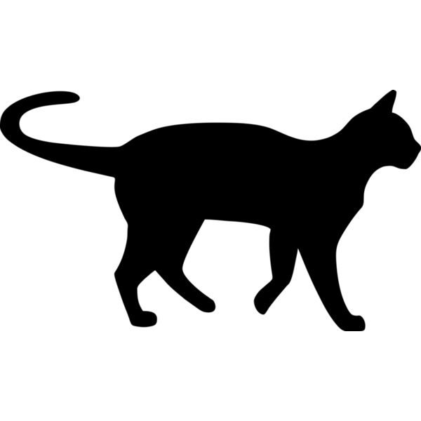 Katze Miniaturansicht