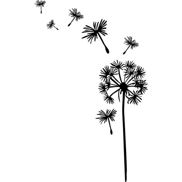 Pusteblume Löwenzahn Miniaturansicht