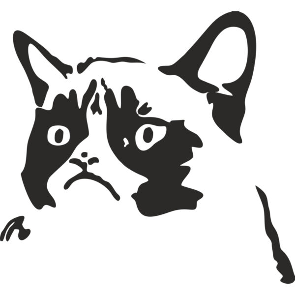 grumpy cat  Miniaturansicht