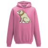 Frauen Hoodie Basic Miniaturansicht