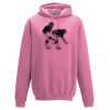 Frauen Hoodie Basic Miniaturansicht