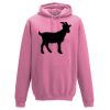 Frauen Hoodie Basic Miniaturansicht