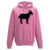 Frauen Hoodie Basic Miniaturansicht
